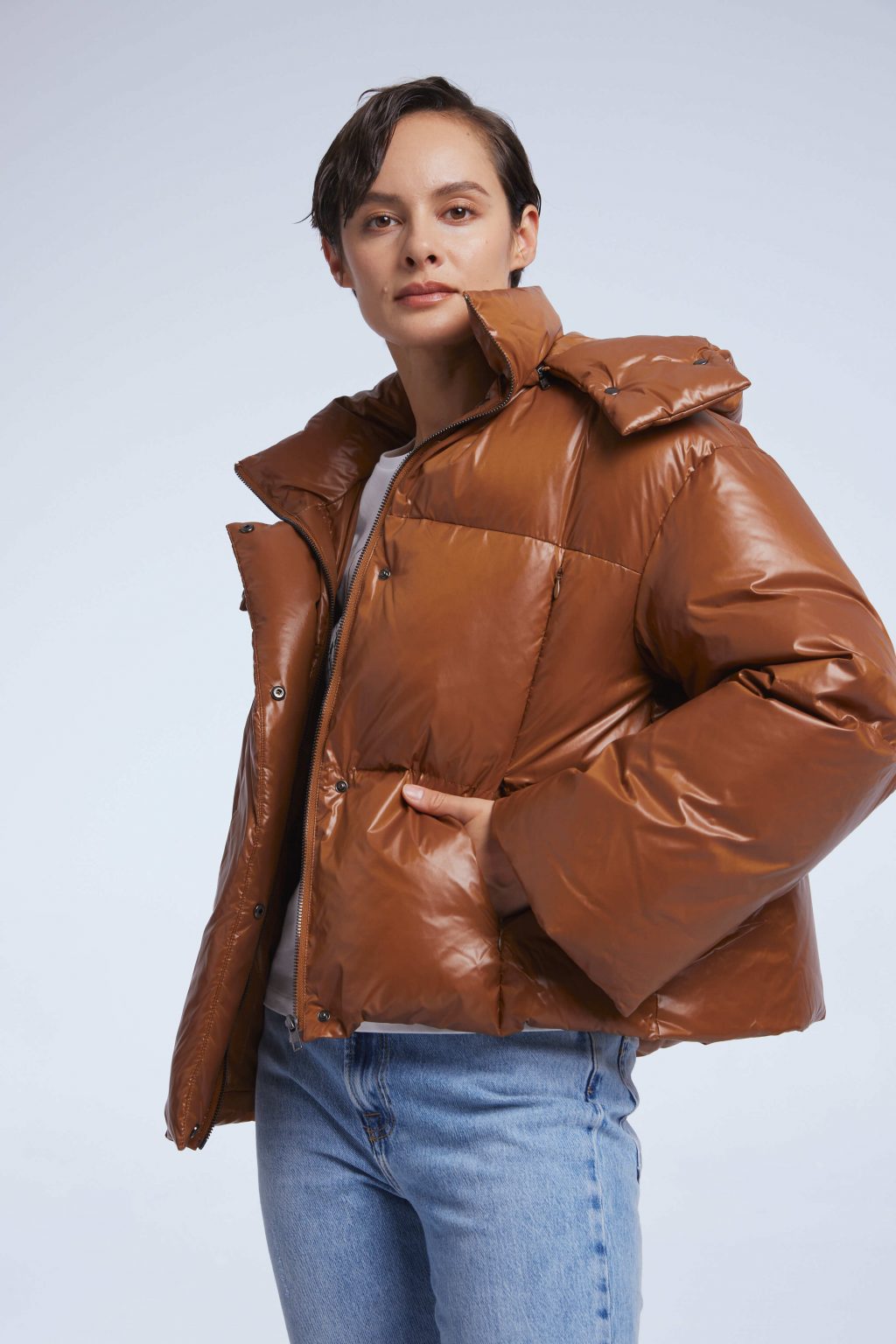 High Collar Cropped Hooded Puffer Jacket